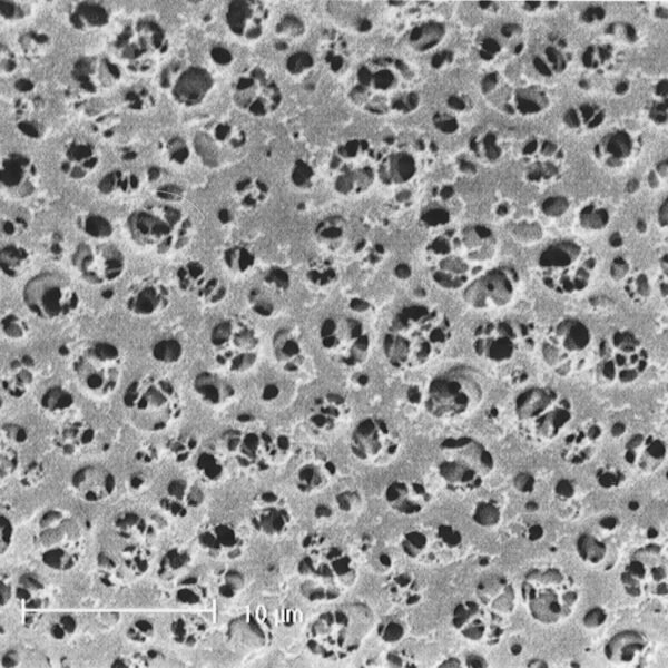 Filtro de membrana de acetato de celulosa (CA), 25mm diámetro 0.45µm poro, No estéril, x 100u.