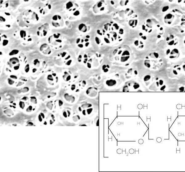 Filtro de membrana de celulosa regenerada (RC), 47mm diámetro 0.45µm poro, No estéril, x 100u.