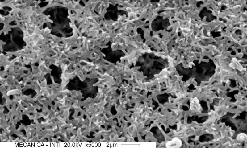 Filtro de Membrana de Nylon hidrofílico x100 u. Varias medidas - Imagen 2