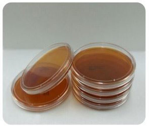 Placas de Petri Ø90mm Preparadas - Sabouraud Dextrosa Agar x 20u.