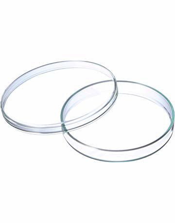 Placas de petri Ø55 x 15mm AGB estériles x 1000u
