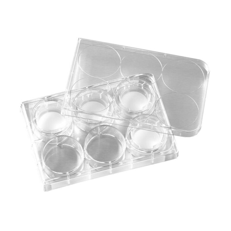 Placa superficie CT para cultivo de tejidos, transparente x 25u.