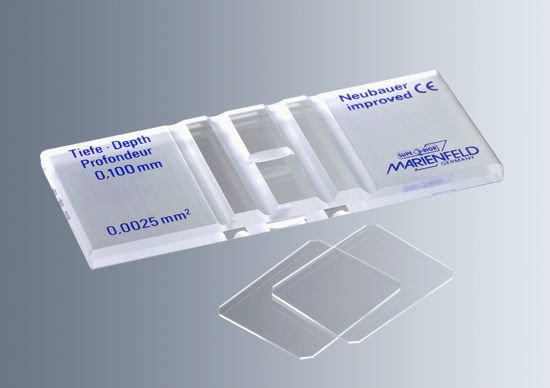 Cámara de Neubauer, doble retículo-mejorada 0,1mm de profundidad (líneas oscuras)