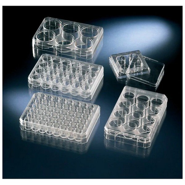 Multiplaca para Cultivo Nunc, sin tratar, con tapa, estéril ,12 pocillos
